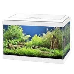 Ciano AQUARIUM AQUA 20 LED 40x20x24,8cm Wit