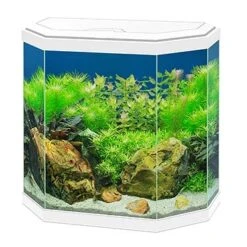 Ciano AQUARIUM AQUA 30 LED 40x20x45,5cm Wit