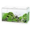 Ciano AQUARIUM 60 LED CF80 60x30x41cm Wit
