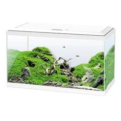 Ciano AQUARIUM 60 LED CF80 60x30x41cm Wit