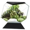 Ciano AQUARIUM NEXUS 14C 35,4x41,8x36,8cm Zwart