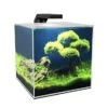 Ciano AQUARIUM CUBE 10 LED 9,5L - 22x22,8x26,2cm