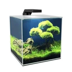 Ciano AQUARIUM CUBE 10 LED 9,5L - 22x22,8x26,2cm