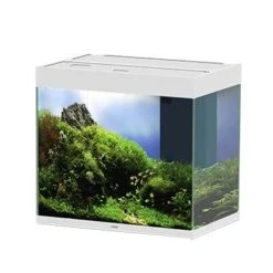 Ciano Aquarium Emotions Nature Pro 60 NEW 61,2x40,2x56cm Wit