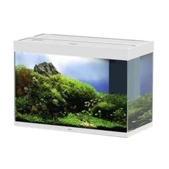 Ciano Aquarium Emotions Nature Pro 80 NEW 81,2x40,2x56cm Wit
