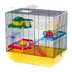 Kooi Teddy 2 Gigant Geel/zwart 58x38x55CM