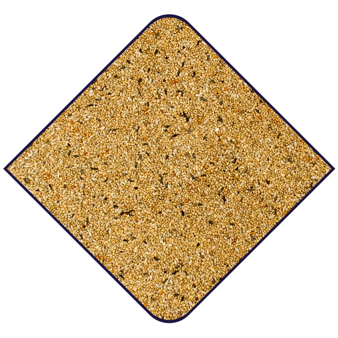 EXPERT AUSTRALISCHE PRACHTVINKEN 20kg 2 EXPERT AUSTRALISCHE PRACHTVINKEN 20kg - Afbeelding 2