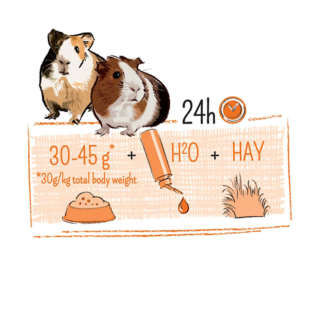 PUUR CAVIA 7kg 2 PUUR CAVIA 7kg - Afbeelding 2