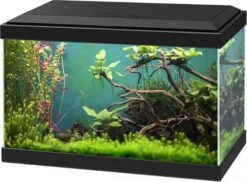 Ciano AQUARIUM AQUA 20 CLASSIC 40x20x24,8cm Zwart