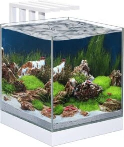 Ciano AQUARIUM NEXUS PURE 25 LED 29x33,8x38cm