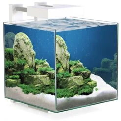 Ciano AQUARIUM NEXUS PURE 15 LED 25x25x31,5cm