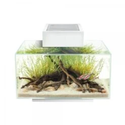 FLUVAL EDGE I 2.0 AQUARIUMKIT 23L 43x26x36cm Wit 5 FLUVAL EDGE I 2.0 AQUARIUMKIT 23L 43x26x36cm Wit -Hond | Kat Winkel fluval edge i 20 wit.600