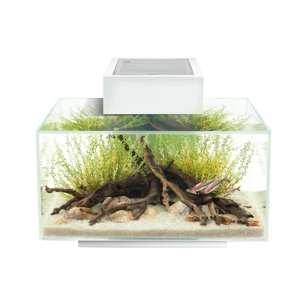FLUVAL EDGE I 2.0 AQUARIUMKIT 23L 43x26x36cm Wit 3 FLUVAL EDGE I 2.0 AQUARIUMKIT 23L 43x26x36cm Wit - Afbeelding 3